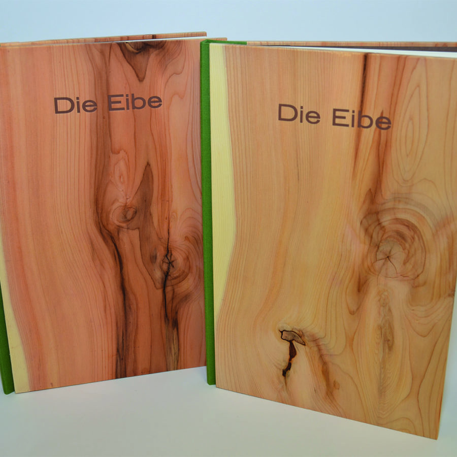 Buch mit Eibendeckel